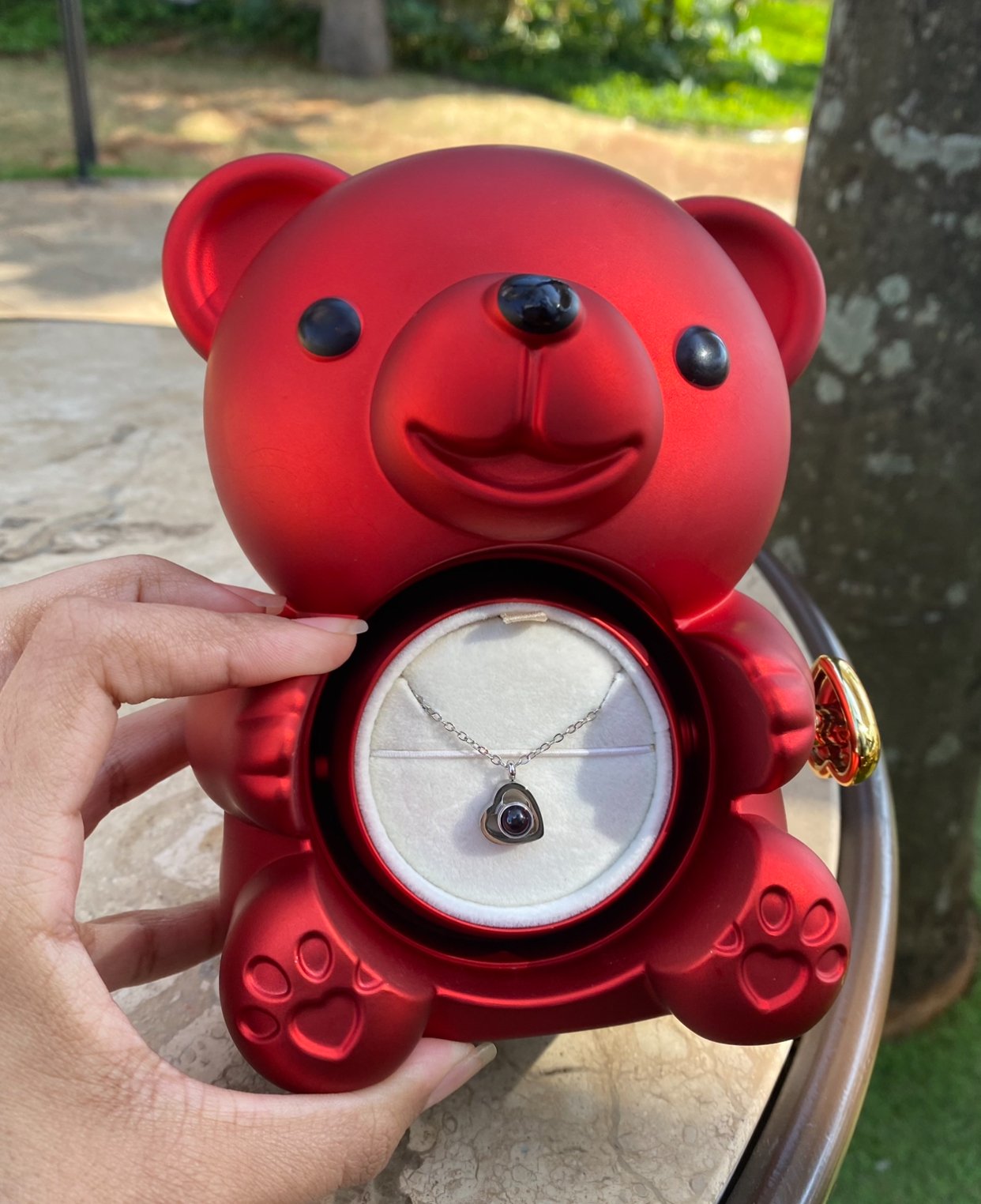 Urso Rotativo Com Rosa Real & Colar Projeção Com Foto