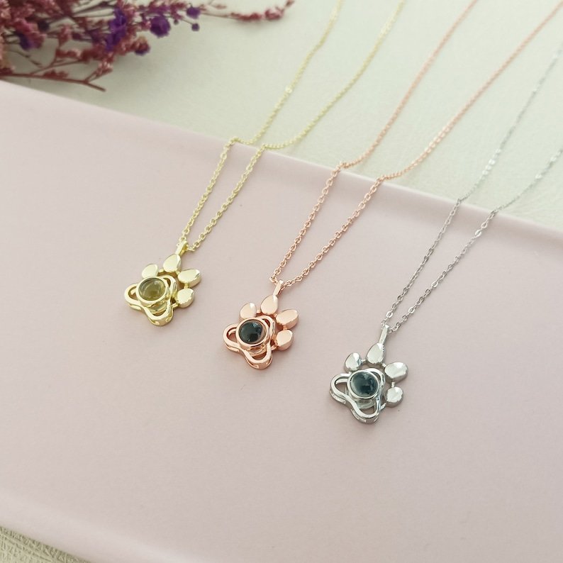 Colar Amor Pet Projeção Com Foto