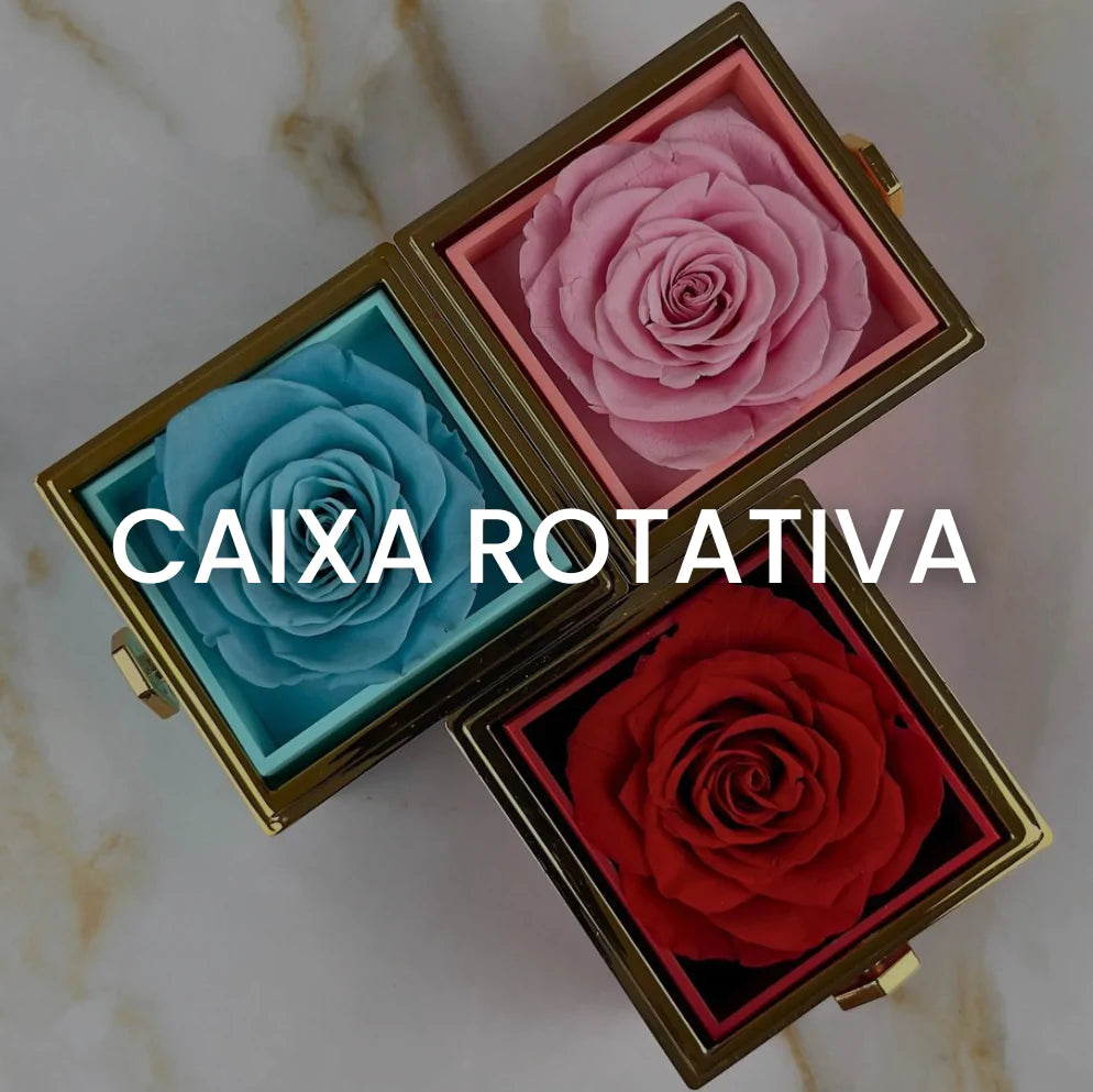 CAIXA ROTATIVA