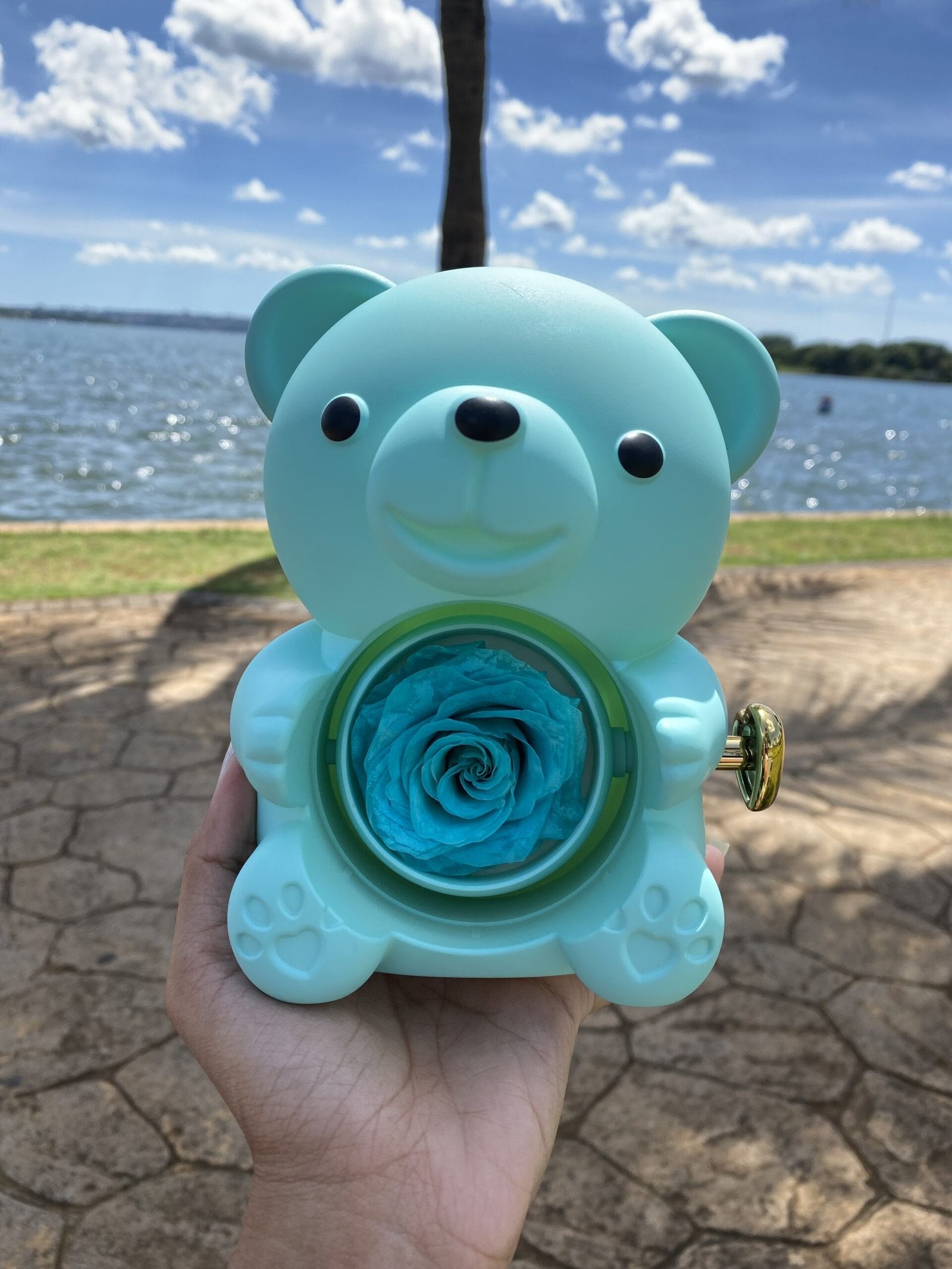 Urso Rotativo Com Rosa Real & Colar Dual Love Personalizado