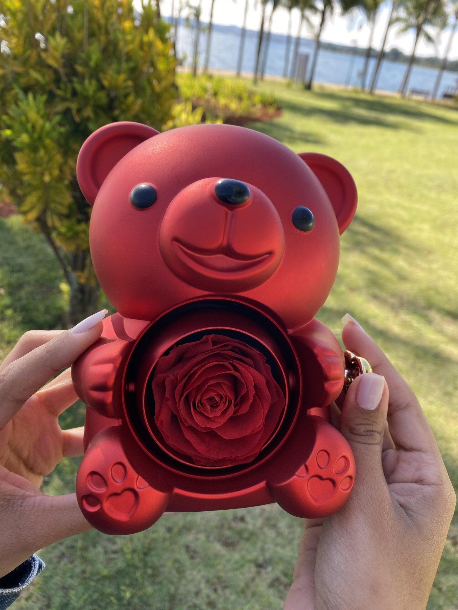 Urso Rotativo Com Rosa Real & Colar Dual Love Personalizado