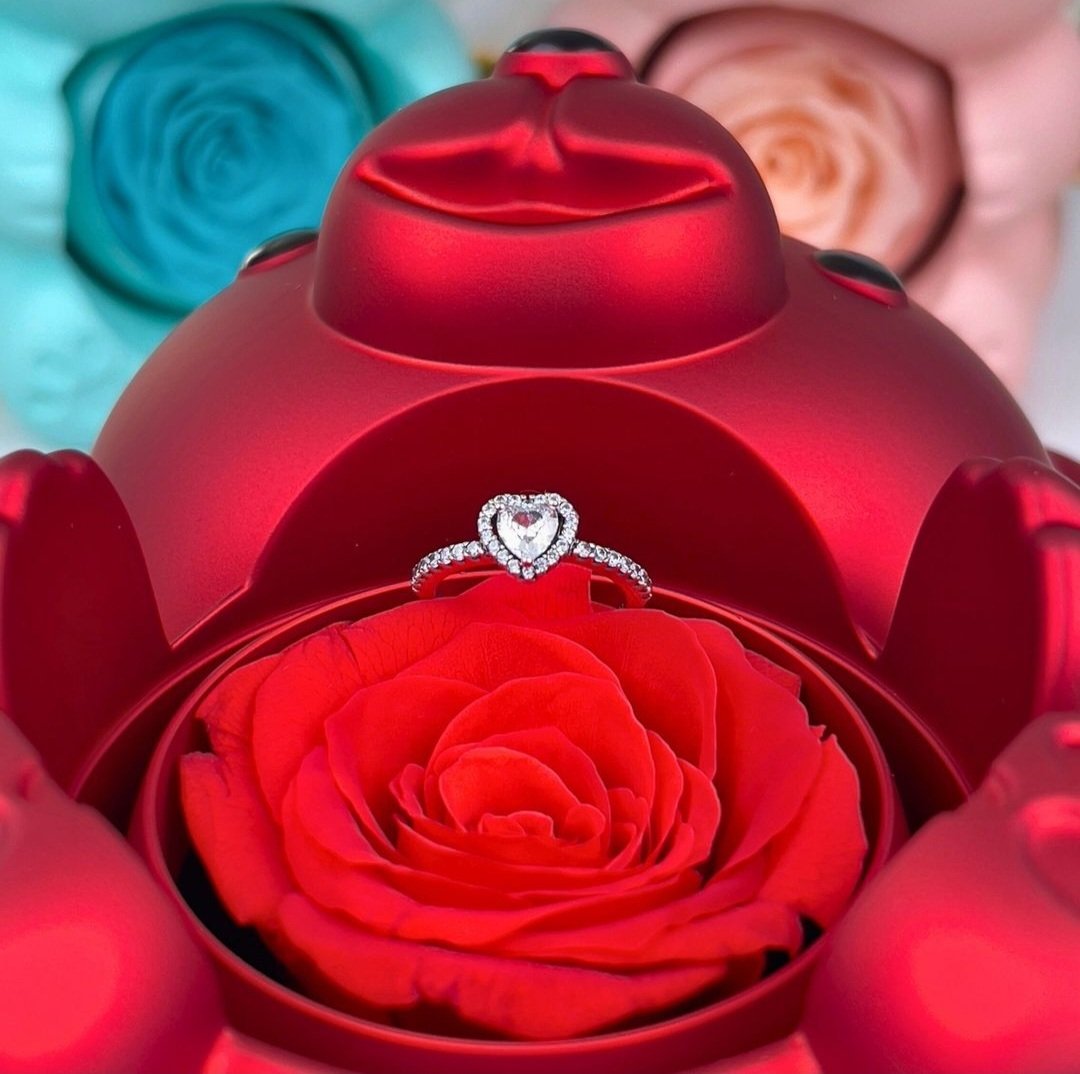 Urso Rotativo Com Rosa Real & Anel Solitario Com Pedra