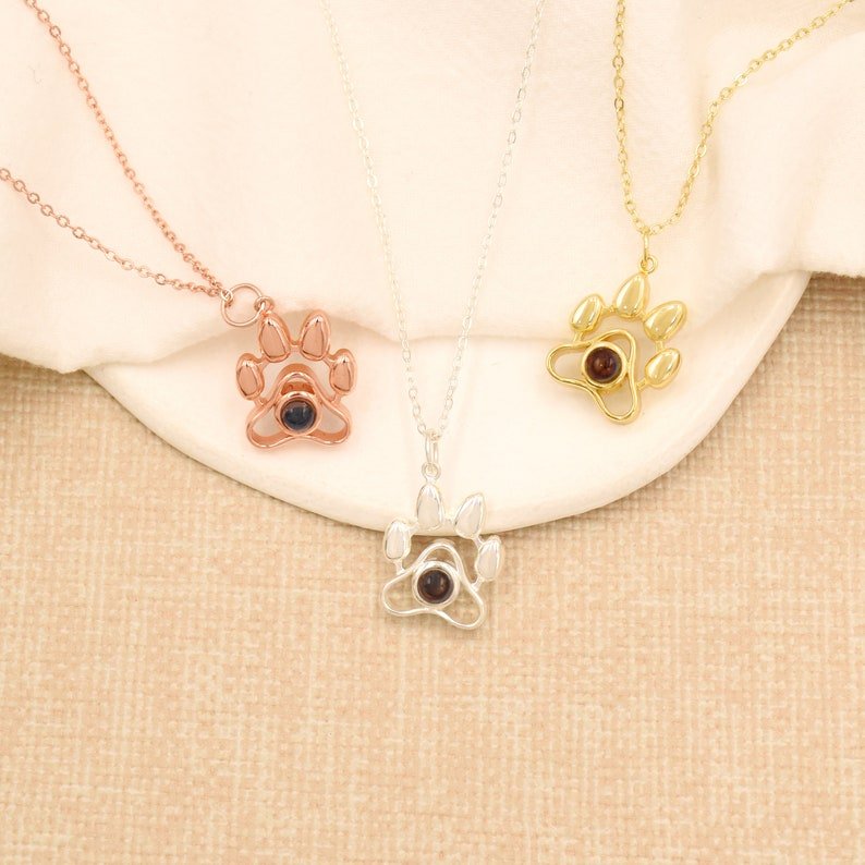 Colar Amor Pet Projeção Com Foto